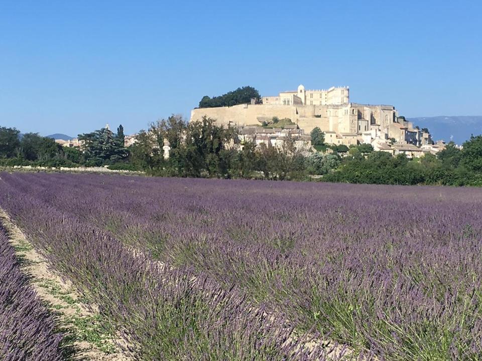 Le Mas Du Pigeonnier Reauville ภายนอก รูปภาพ