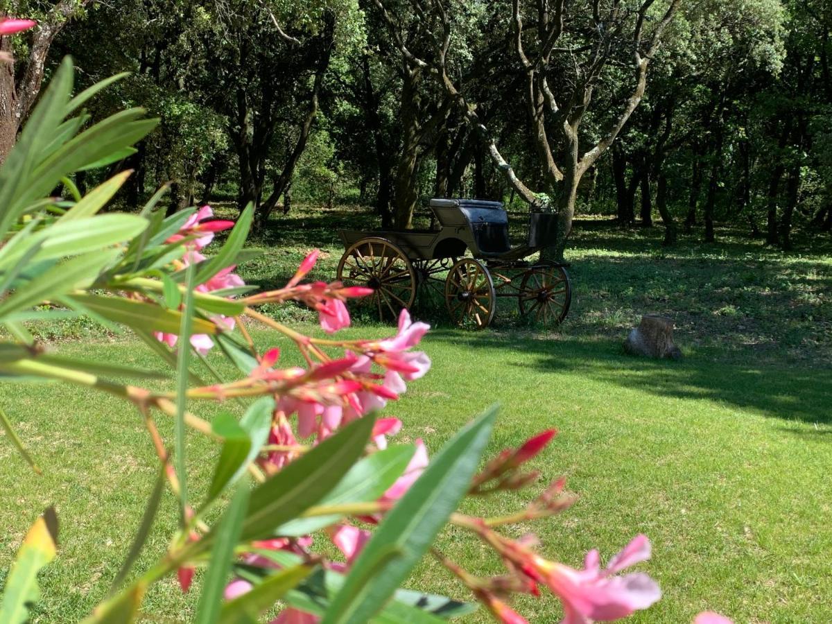 Le Mas Du Pigeonnier Reauville ภายนอก รูปภาพ